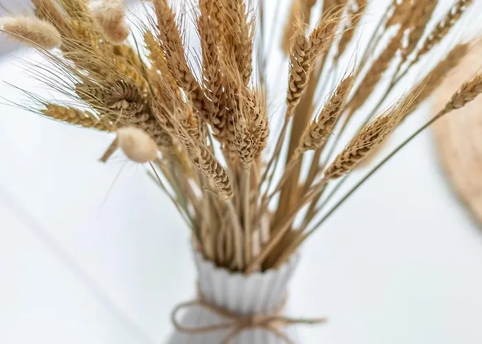 Lägenhet Tranvia 51 *