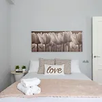Tranvia 51 Apartament